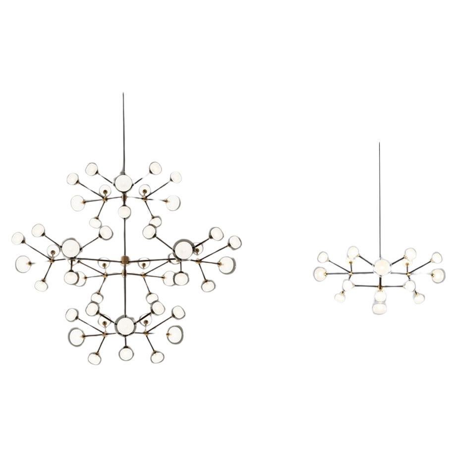 Contemporary Kronleuchter 'Nabila 552.16' + 'Nabila 552.48' von TOOY, Klarglas im Angebot