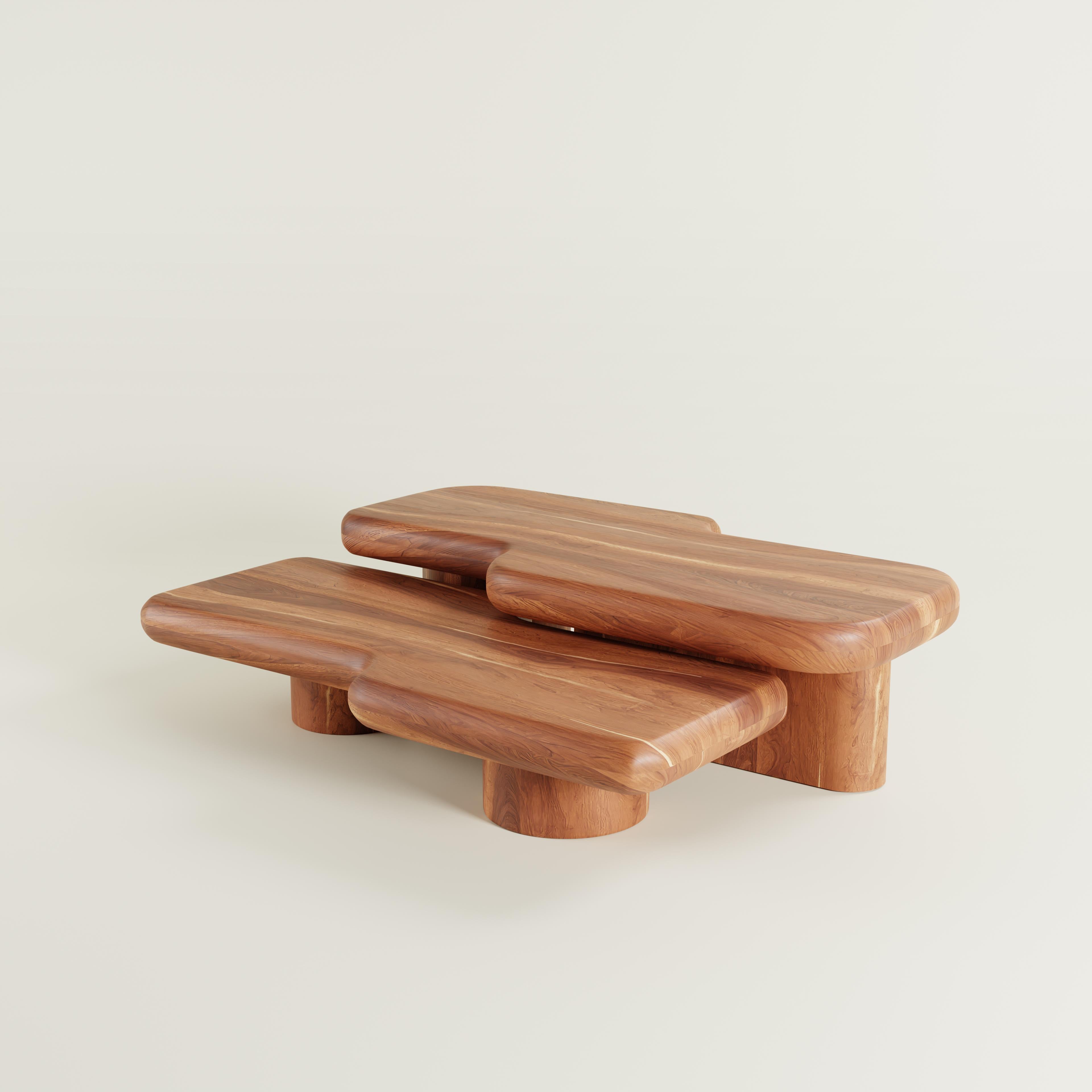 For this collection in collaboration with Rio Estudio, inspiration is drawn from hydraulic circuits; systems that transport some liquid component, comprised of long and linear elements, articulated by bends. 

The Circuit Tzalam Wood Coffee Table