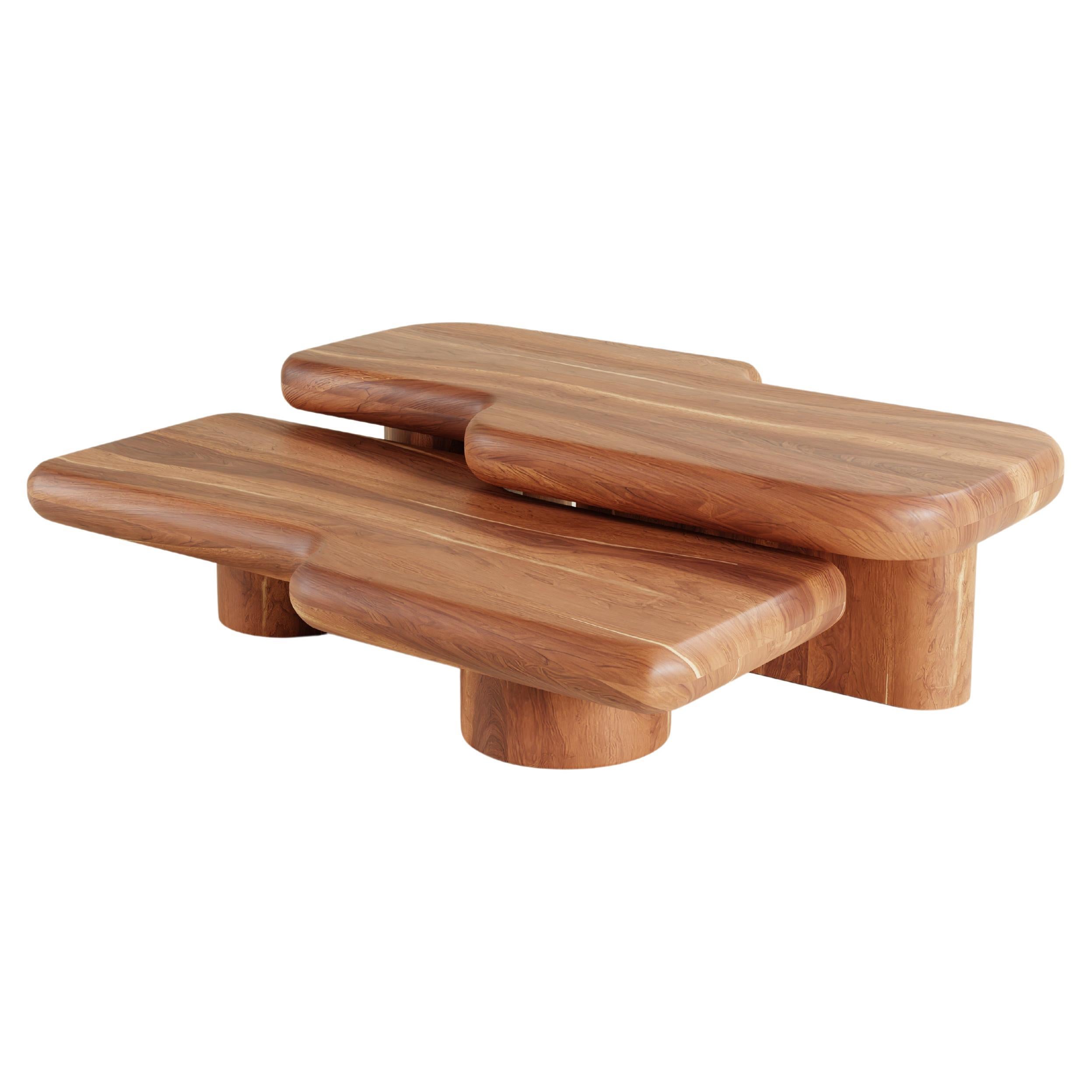 Contemporary Circuit Tzalam Wood Coffee Table Set  For Sale