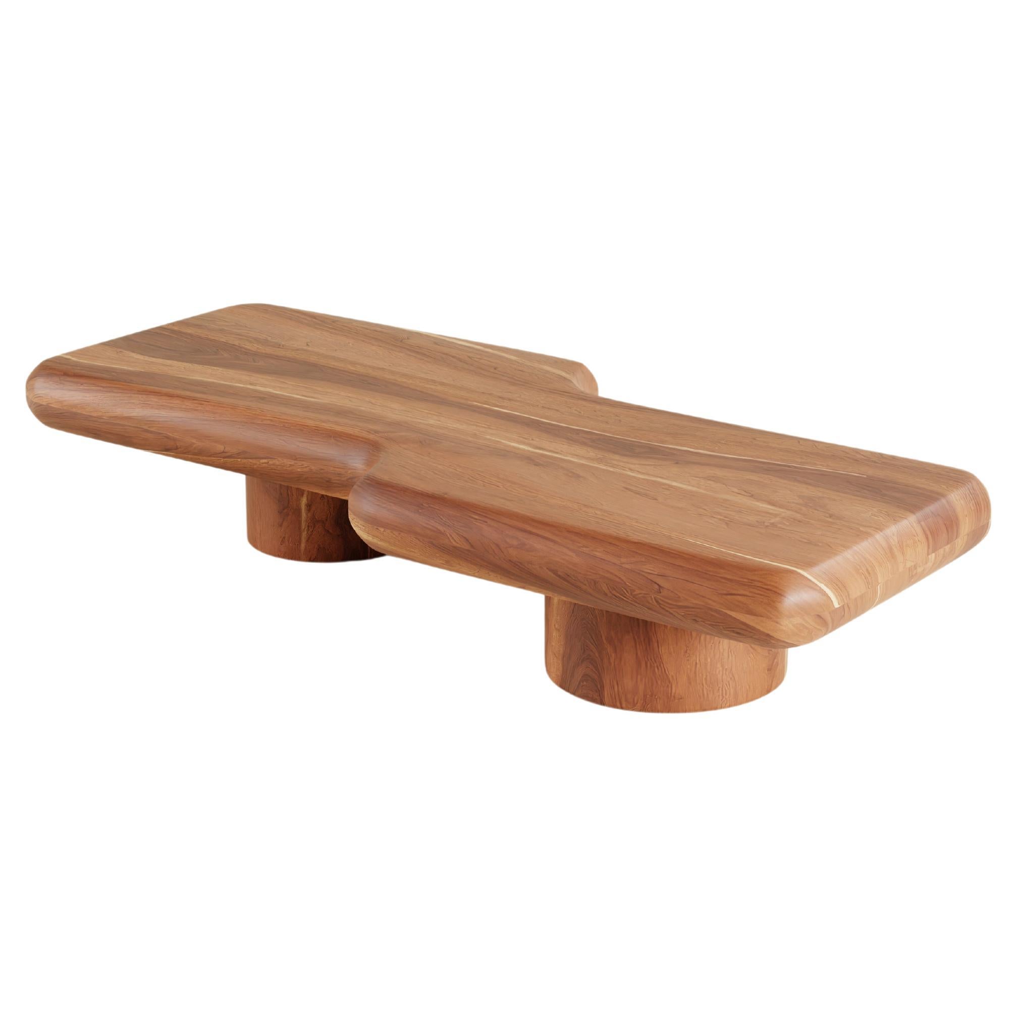 Contemporary Circuit Tzalam Wood Low Coffee Table  For Sale