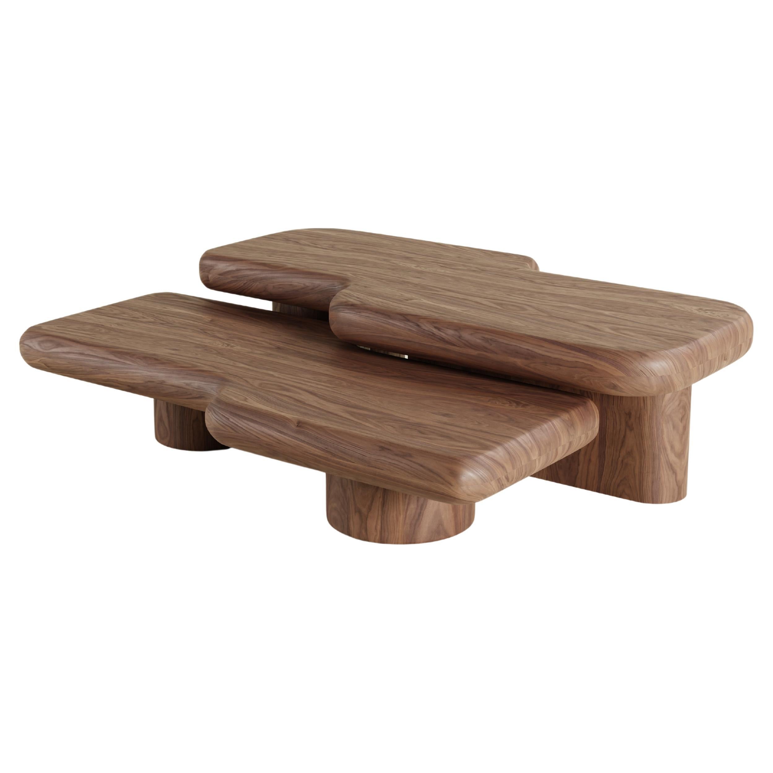 Contemporary Circuit Walnut Coffee Table Set  For Sale