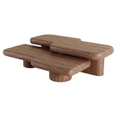 Contemporary Circuit Walnut Coffee Table Set 