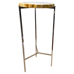 Contemporary Cocktail Table with Petrified Wood Slice Top and Nickel Base