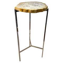 Contemporary Cocktail Table with Petrified Wood Slice Top and Nickel Base