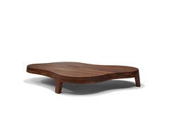 Contemporary Coffee Table 'Isola' by LINTELOO, 173-107 Sucupira Natural w/ rings
