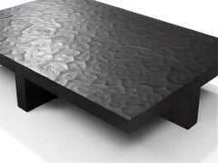 Contemporary Coffee Table 'Lowtide' by LINTELOO, Rectangular, 120-80, Anthracite