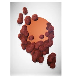 Contemporary Colourful mirror, Pure Morning portal Bordeaux Alfie Furry Friends