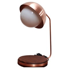 Contemporary Copper & Tzalam Wood Desk Lamp "Lámpara G"