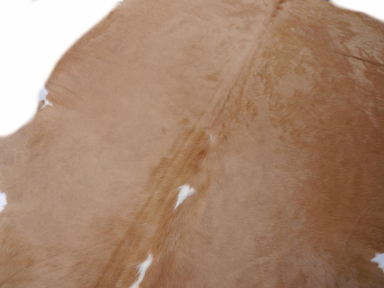 Brazilian Contemporary Cowhide Rug Light Brown Caramel Beige