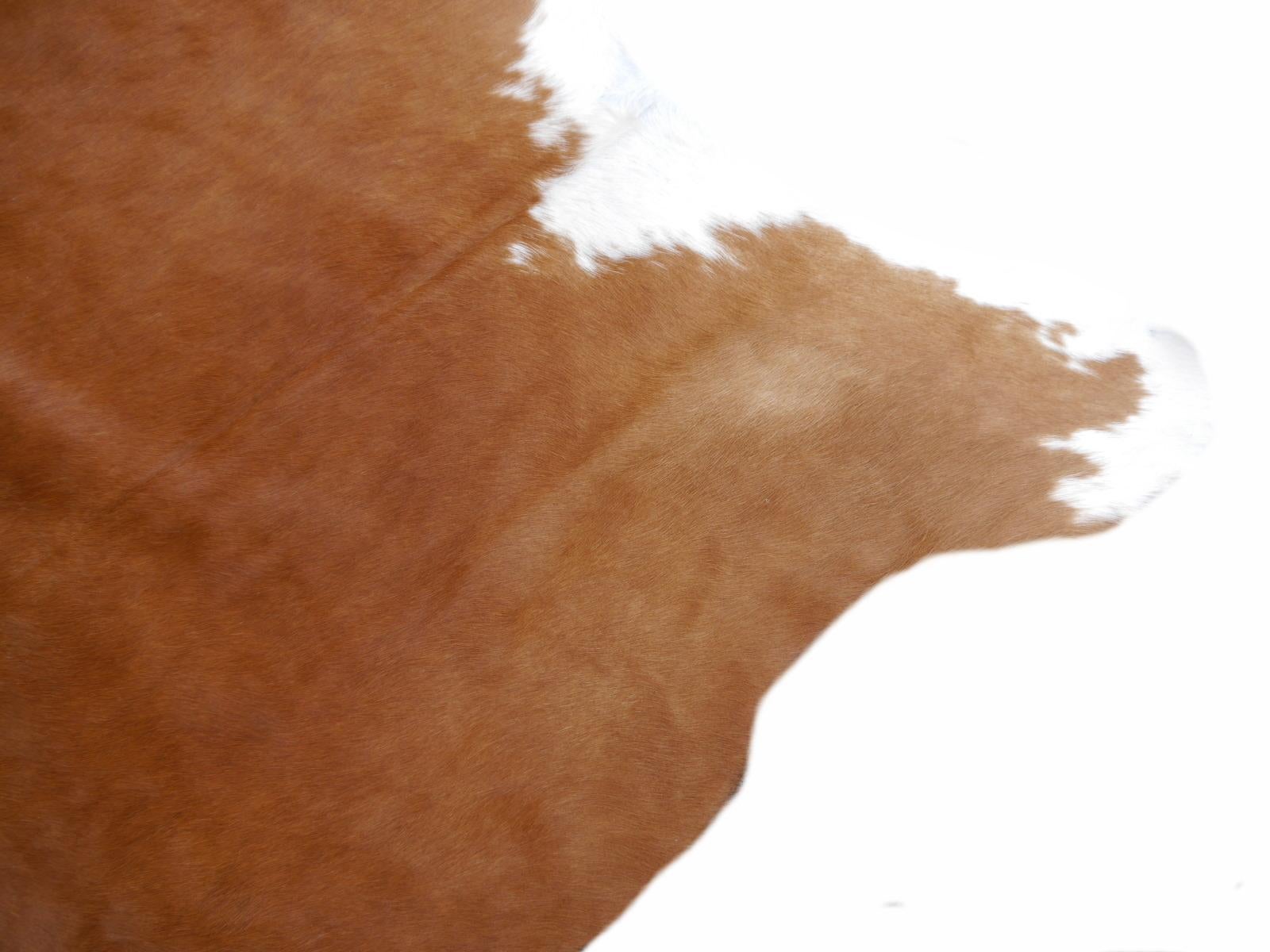 Contemporary Cowhide Rug Light Brown Caramel Beige 2