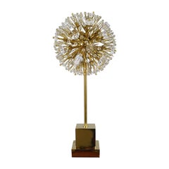 Contemporary Crystal and Brass Sputnik Table Lamp