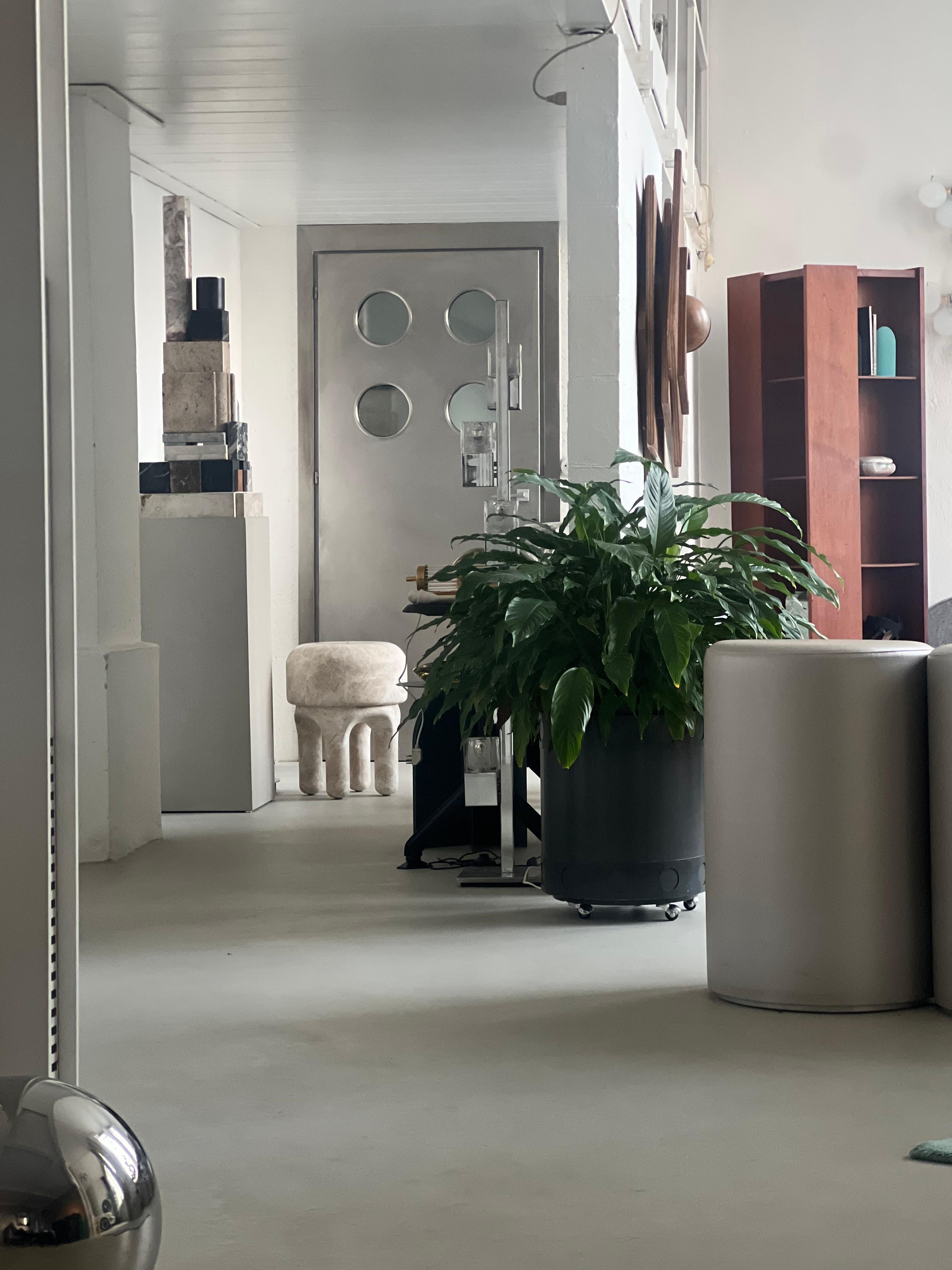 Contemporary Spinzi Edelstahl-Metalltür mit runden Bullaugen nach Maß im Angebot 8