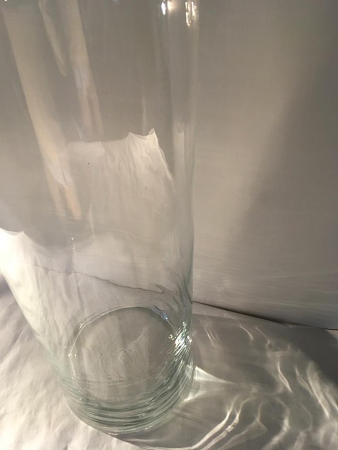 Contemporary Cylinder Giant Clear Glass Jar Vase  7