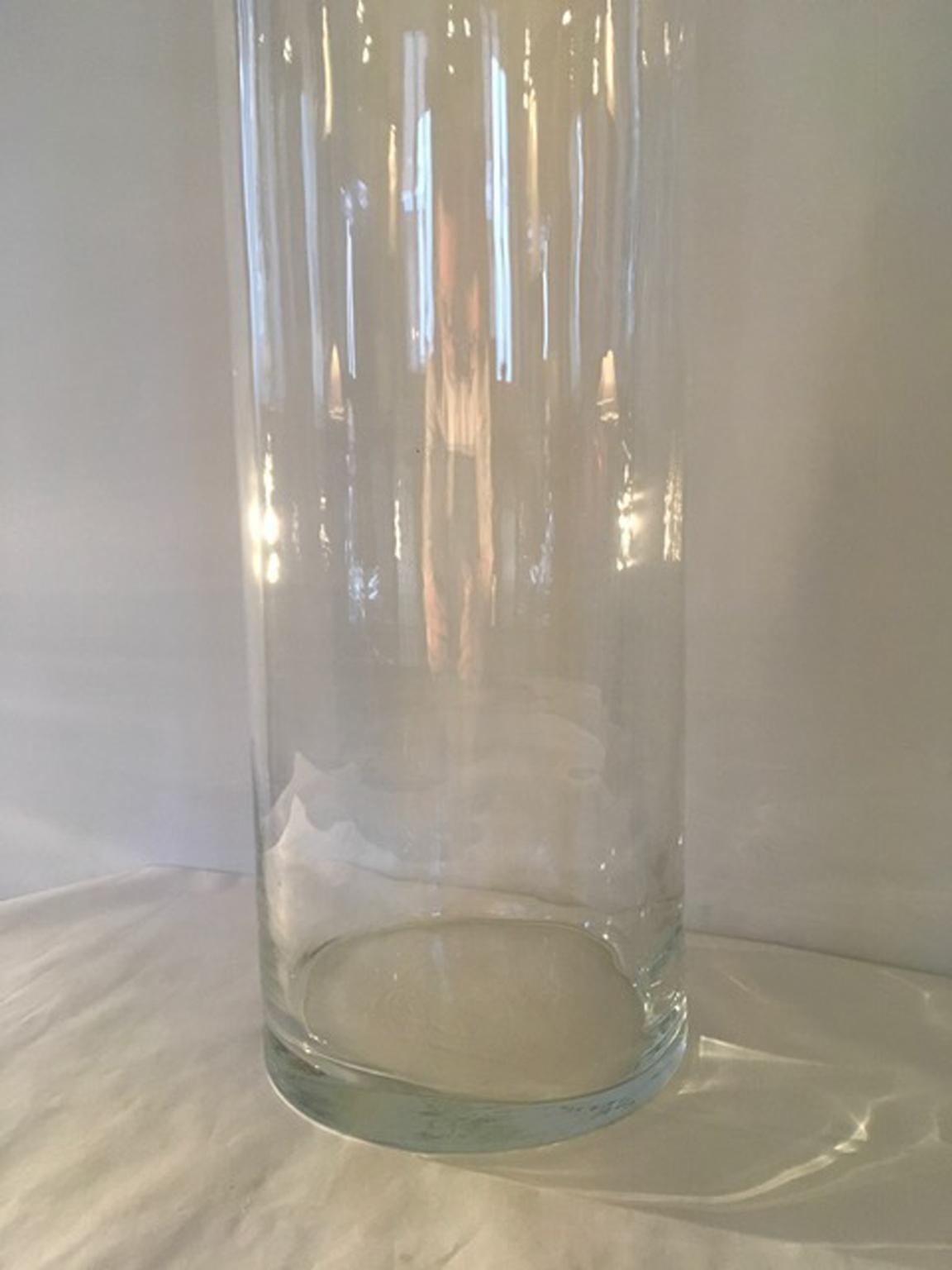 Contemporary Cylinder Giant Clear Glass Jar Vase 

This giant jar in minimal style can be put on the floor also. Perfect in every kind of room for its transparency presence. Beautiful and useful.