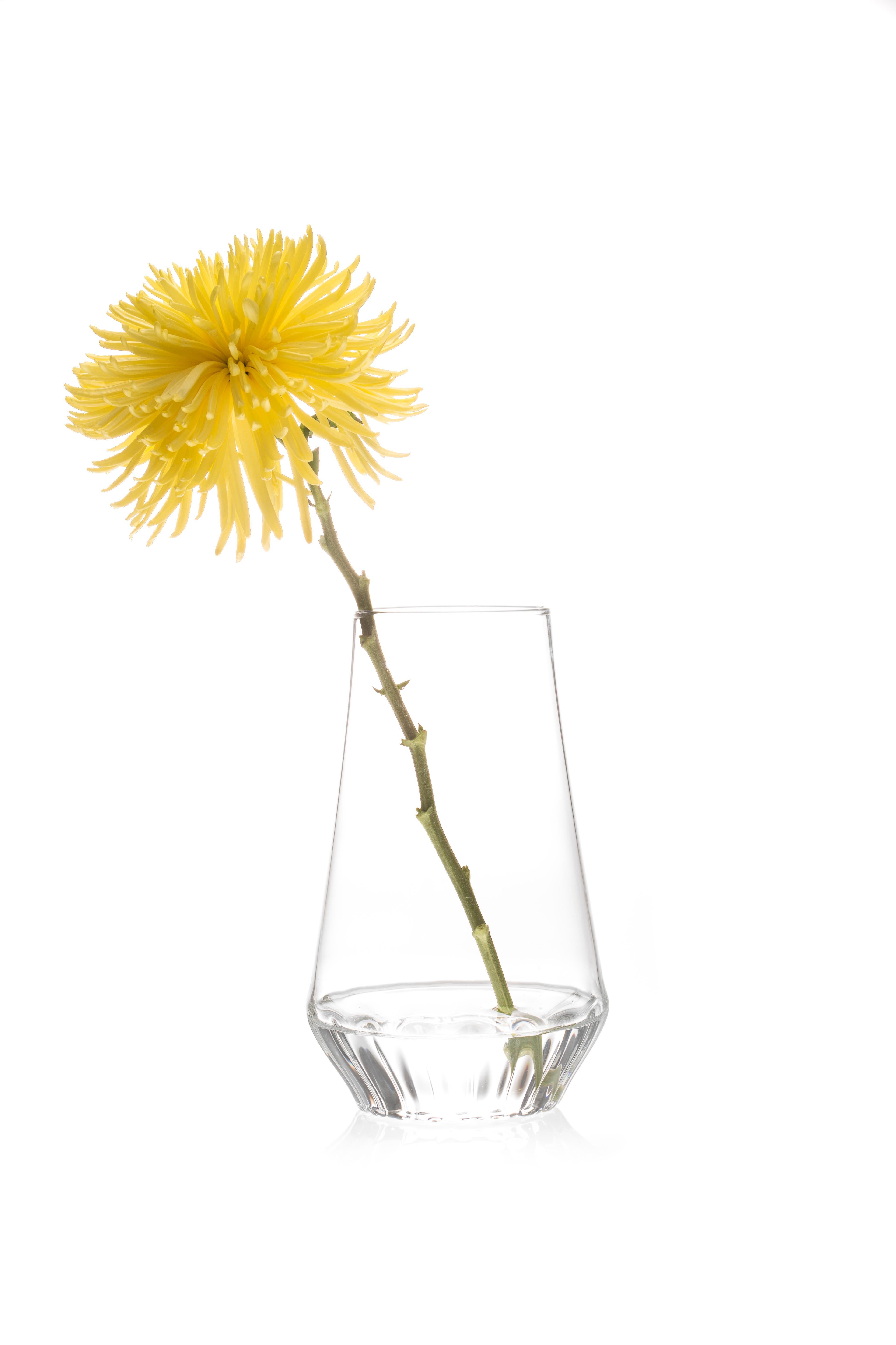 The Contemporary Czech clear glass Rossi medium vase, from a single stem to a beautiful bouquet, the modern and minimal Rossi vases highlight any flower arrangement they contain by masking the stems at the bottom of the vase. For everyday use or