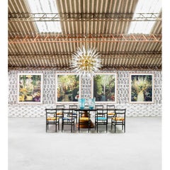 Contemporary "Daeugu 03" "Artificial Paradise" Series Photography by Paula Anta