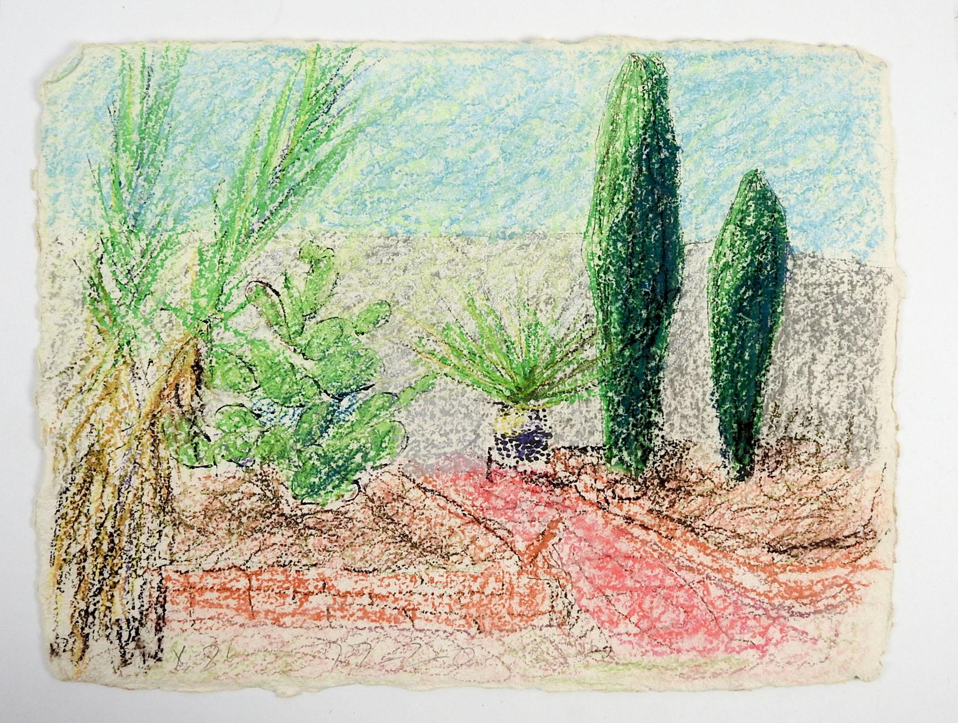 Dessin au crayon de couleur d'un jardin de feuillage désertique sur papier lourd fait main par George Turner (1943-2014) Américain.  Signé et daté 1986 dans le coin inférieur gauche. Non encadré.