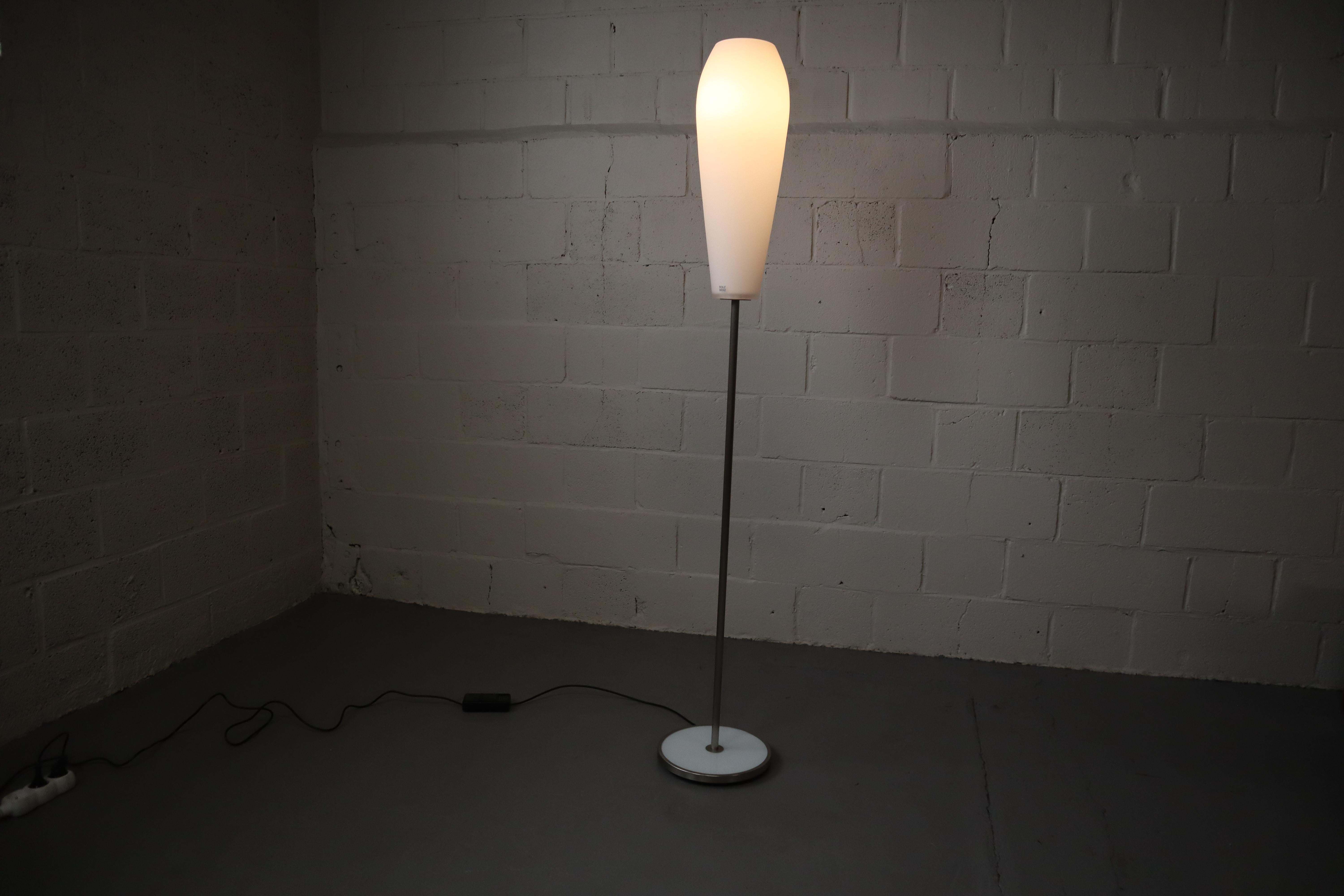 Contemporary Dimmable Floor Lamp 