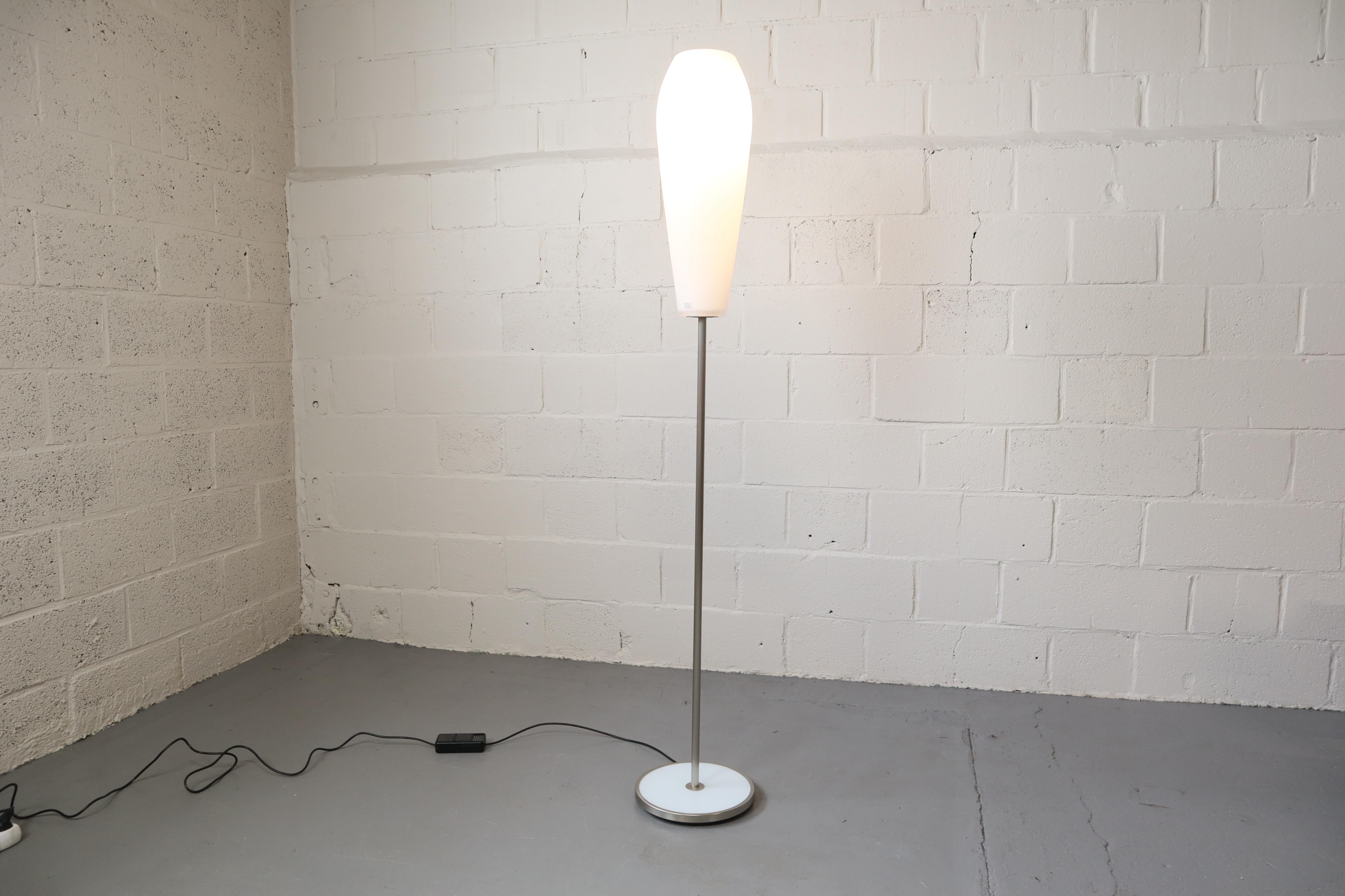 Contemporary Dimmable Floor Lamp 