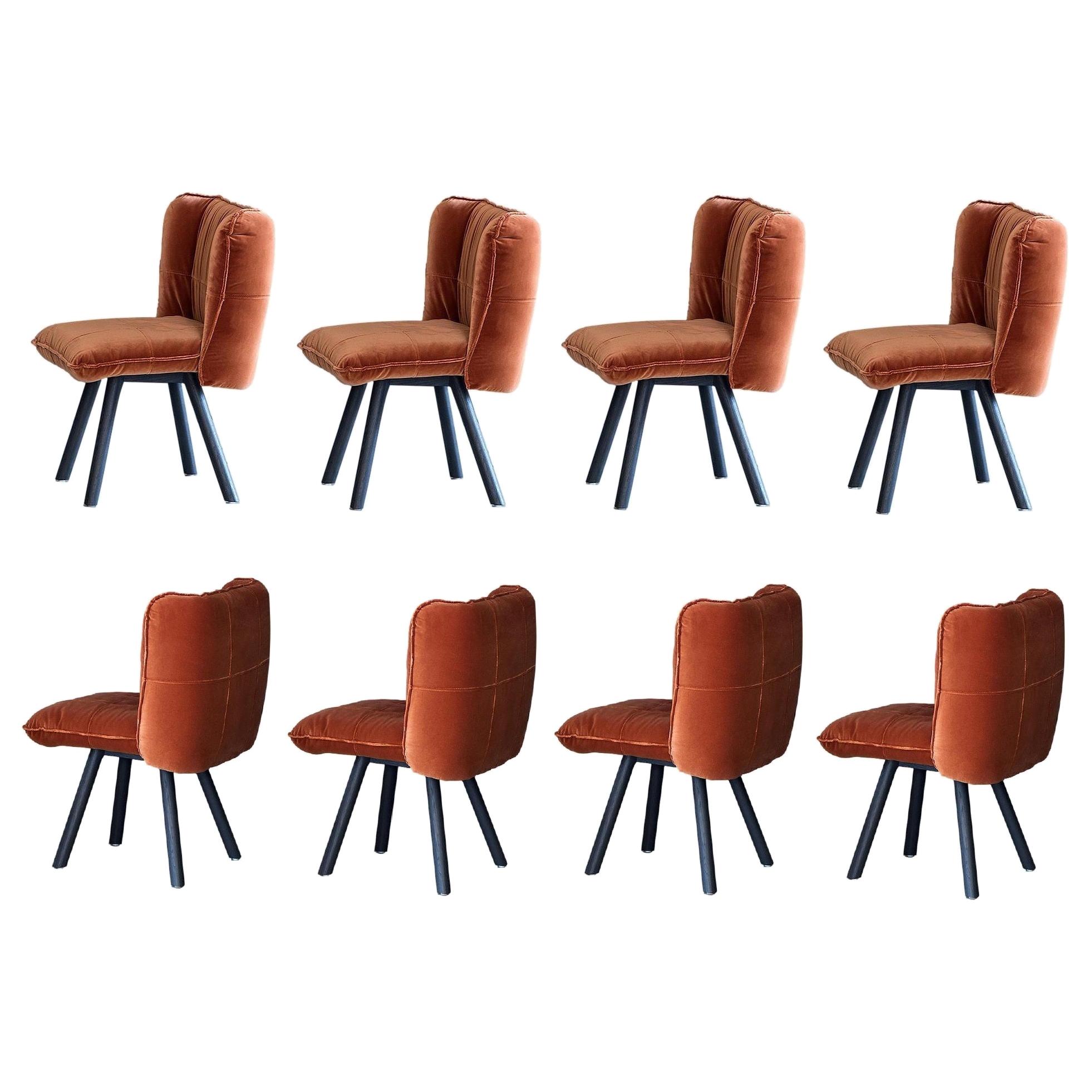 Ensemble de 8 chaises de salle à manger contemporaines en chêne américain fabriquées en