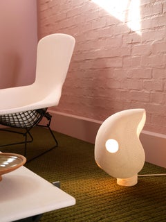 Contemporary Earthy Seed Lamp 01 Handcrafted by Jan Ernst