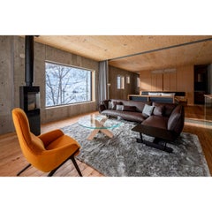 Contemporary Fluffy Soft Shiny Long Pile Grey Rug by Deanna Comellini 200x300 cm