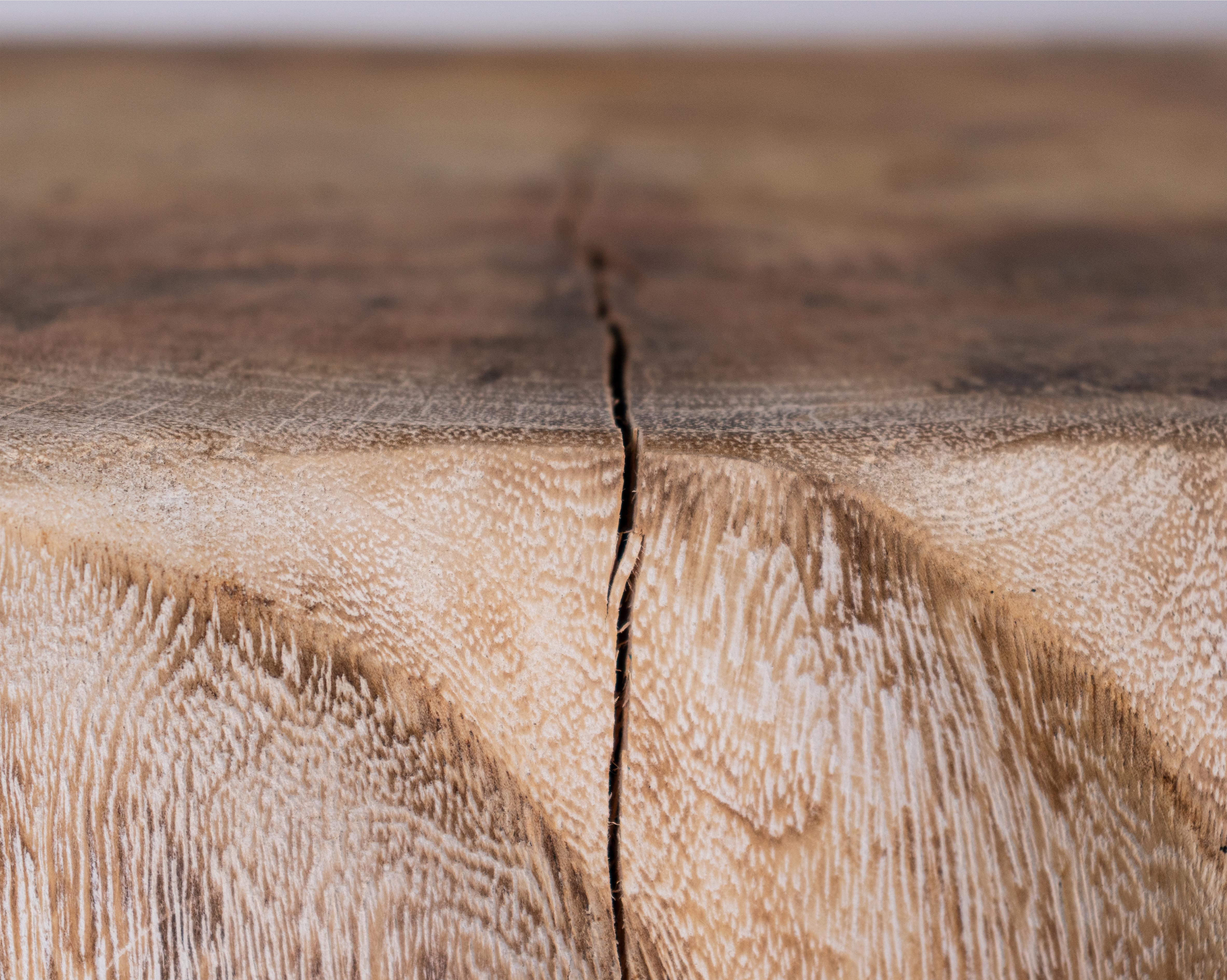 Petrified Wood Contemporary Form Mango Wood Side Table