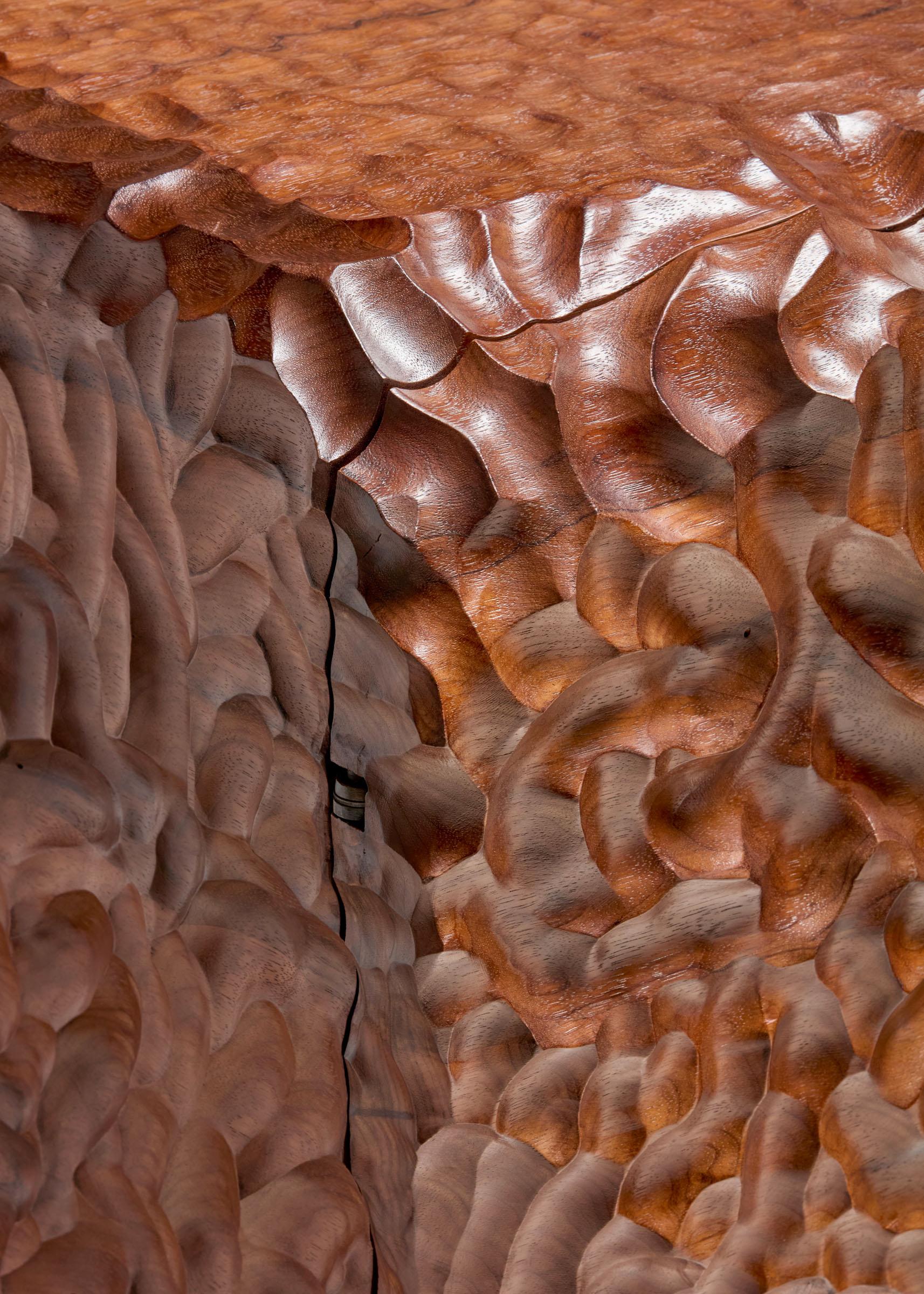 Zeitgenössischer Schrank aus Fracé-Holz Formed in Touch von Benoit Viaene im Angebot 1