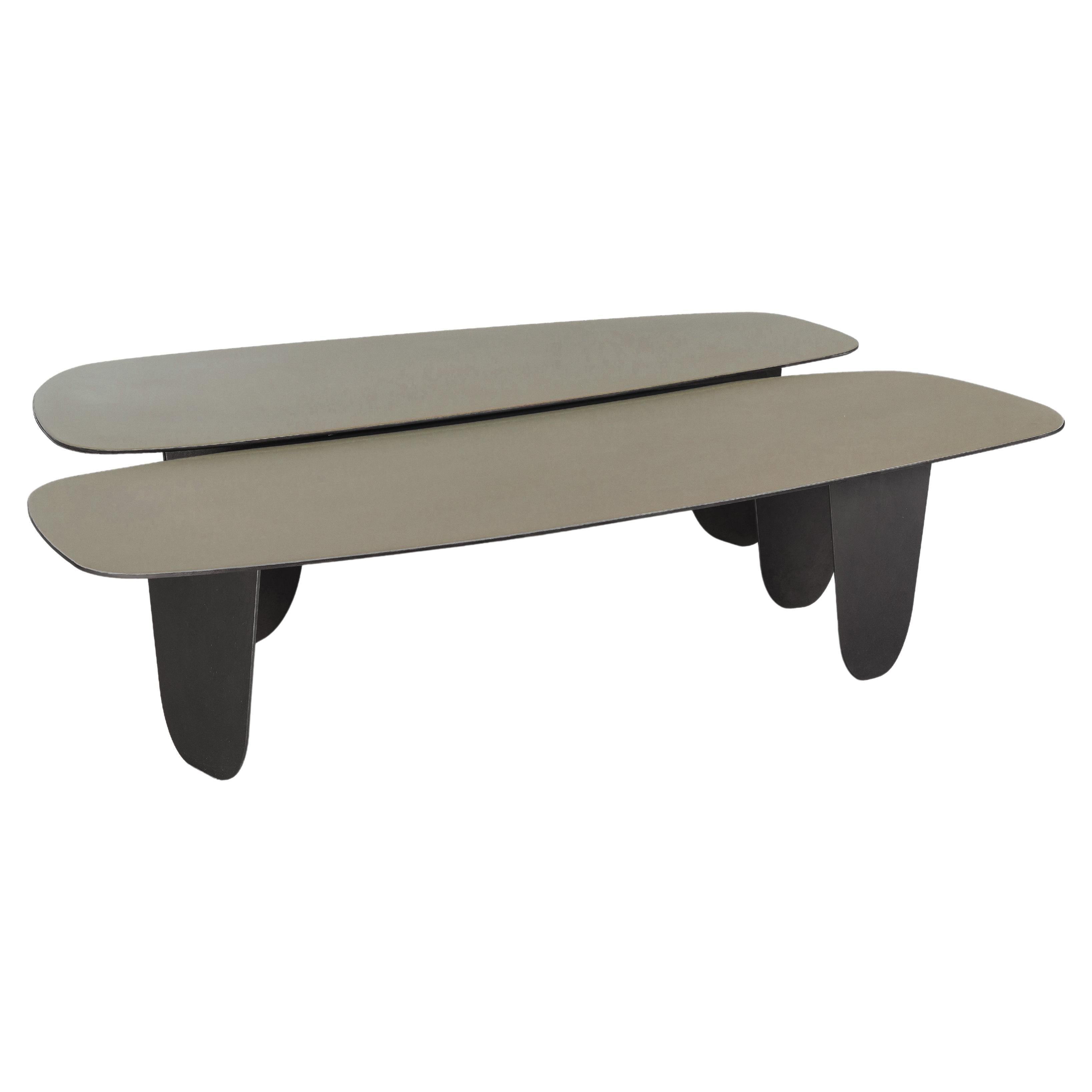Tables basses contemporaines minimalistes à forme libre en acier et en résine par Vivian Carbonell