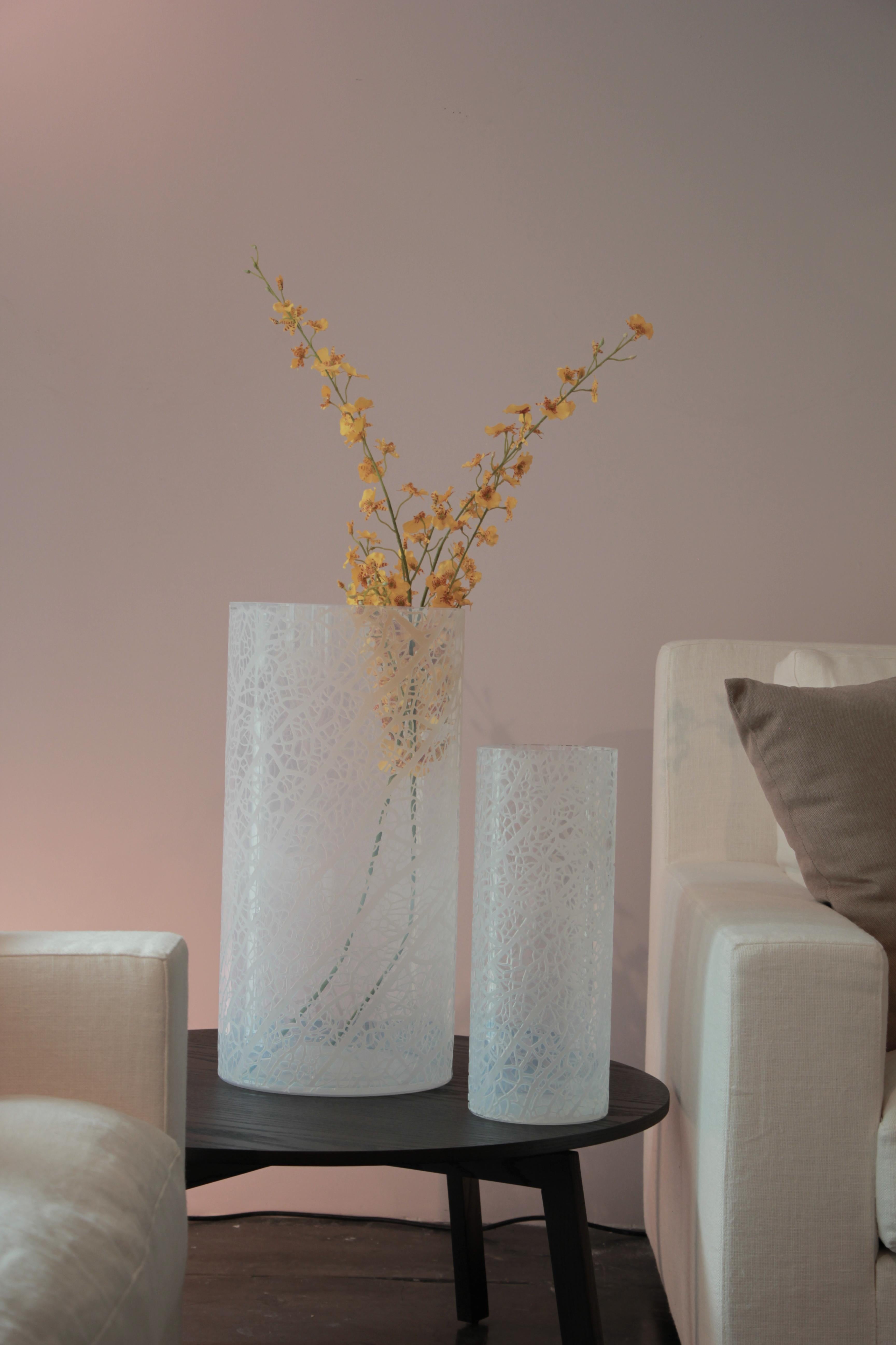 Hand-Crafted Contemporary Glass Vase, Ficus 