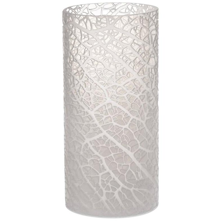 Contemporary Glass Vase, Ficus "B" Large For Sale