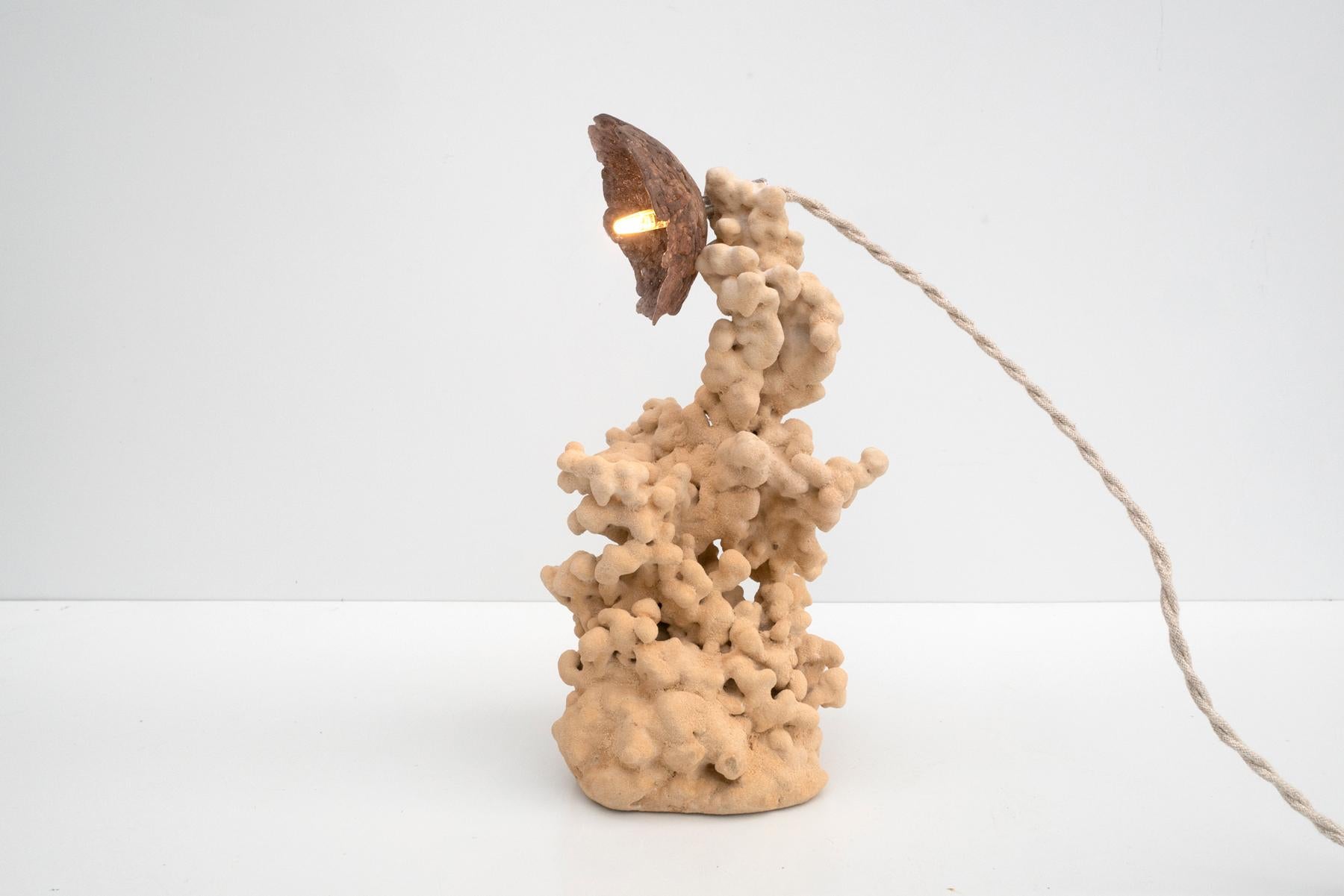 Contemporary Goetite Lamp In New Condition For Sale In 1204, CH