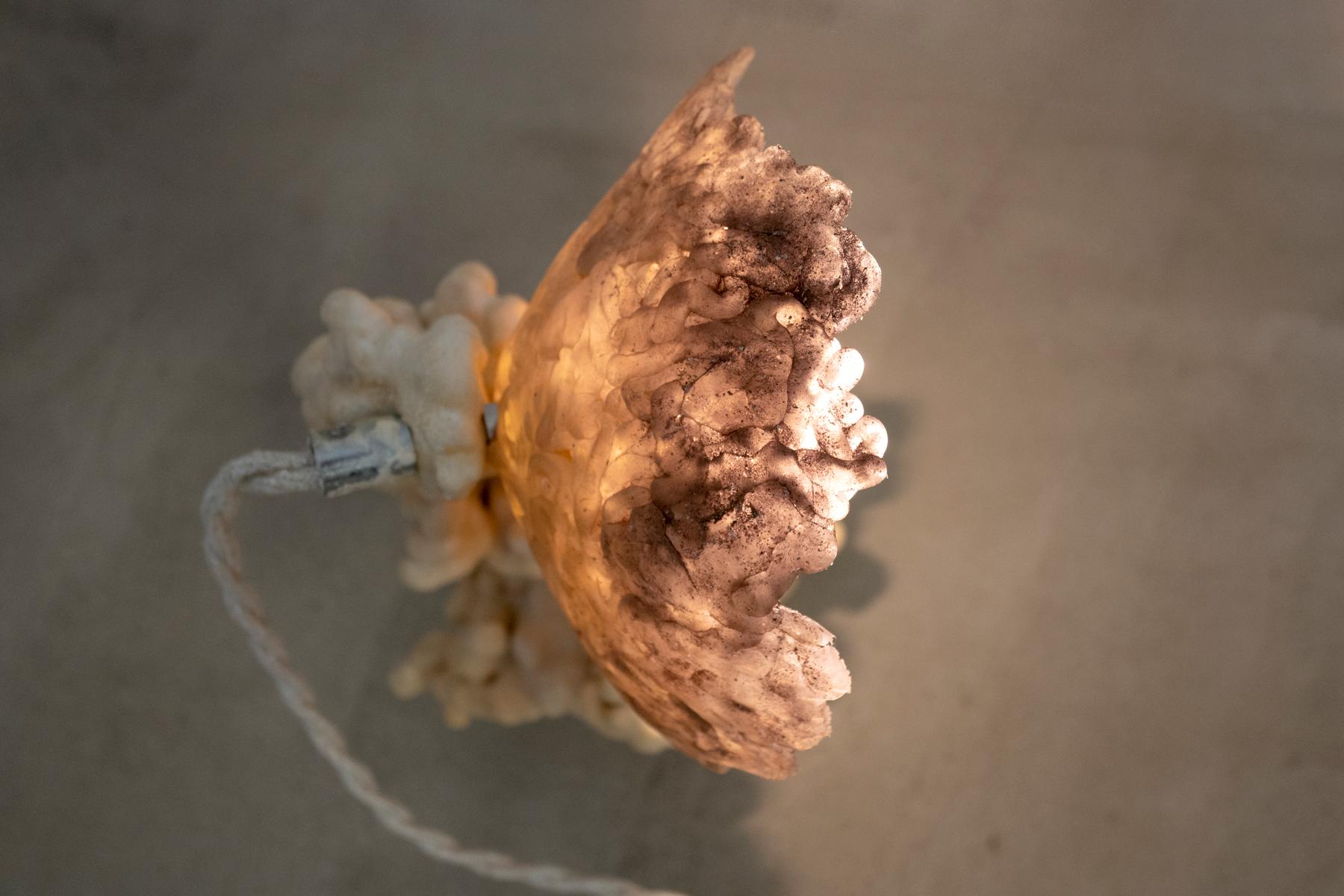Contemporary Goetite Lamp For Sale 2