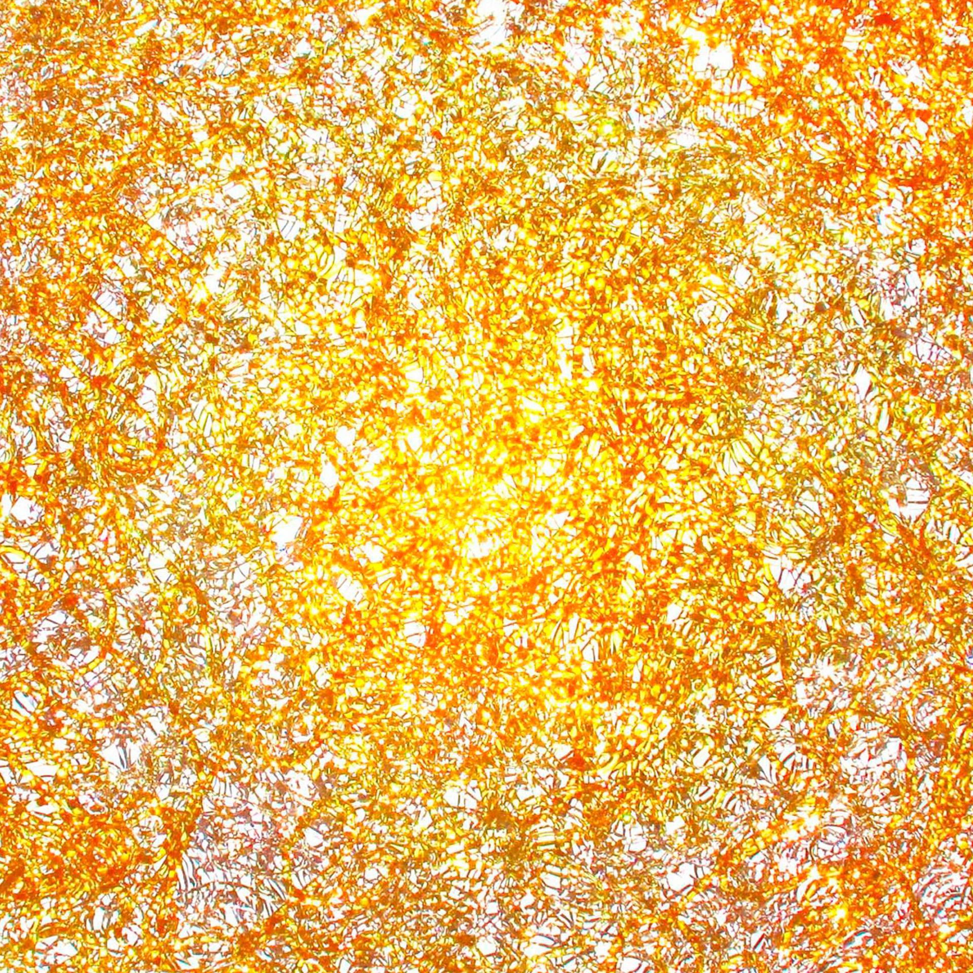 Lampada da parete circolare contemporanea in policarbonato oro di Jacopo Foggini In condizioni buone in vendita a Ibiza, Spain