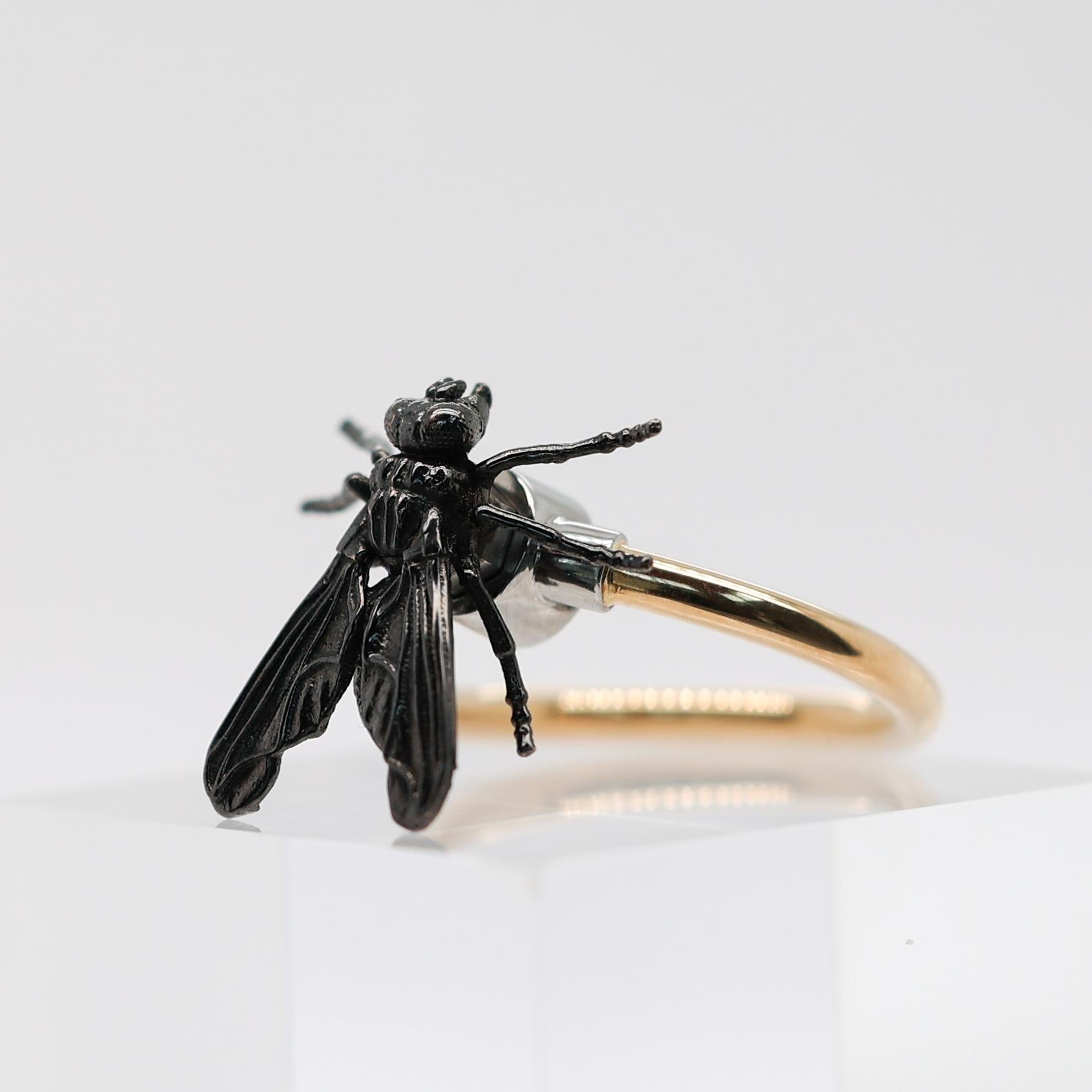 Women's or Men's Contemporary Golden Ring with Insect, 18K Yellow and Black Gold For Sale