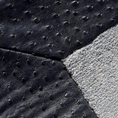 Contemporary Gray Carpet with Black Ostrich-Embossed Leather Border, 10' x 8'
