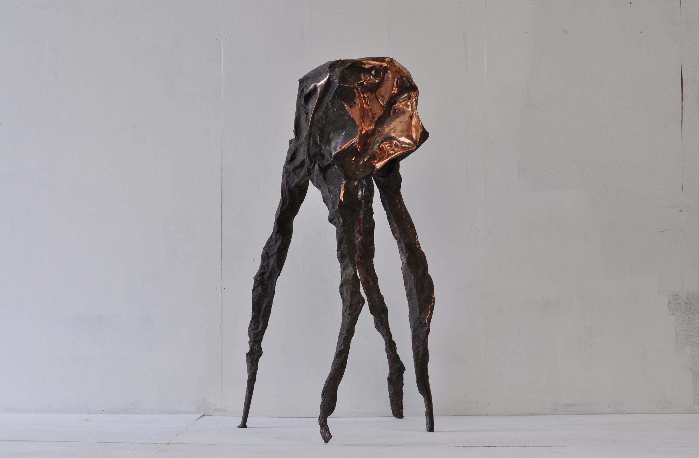 Contemporary Hammered copper Arachne sculpture by Marius Ritiu For Sale 7