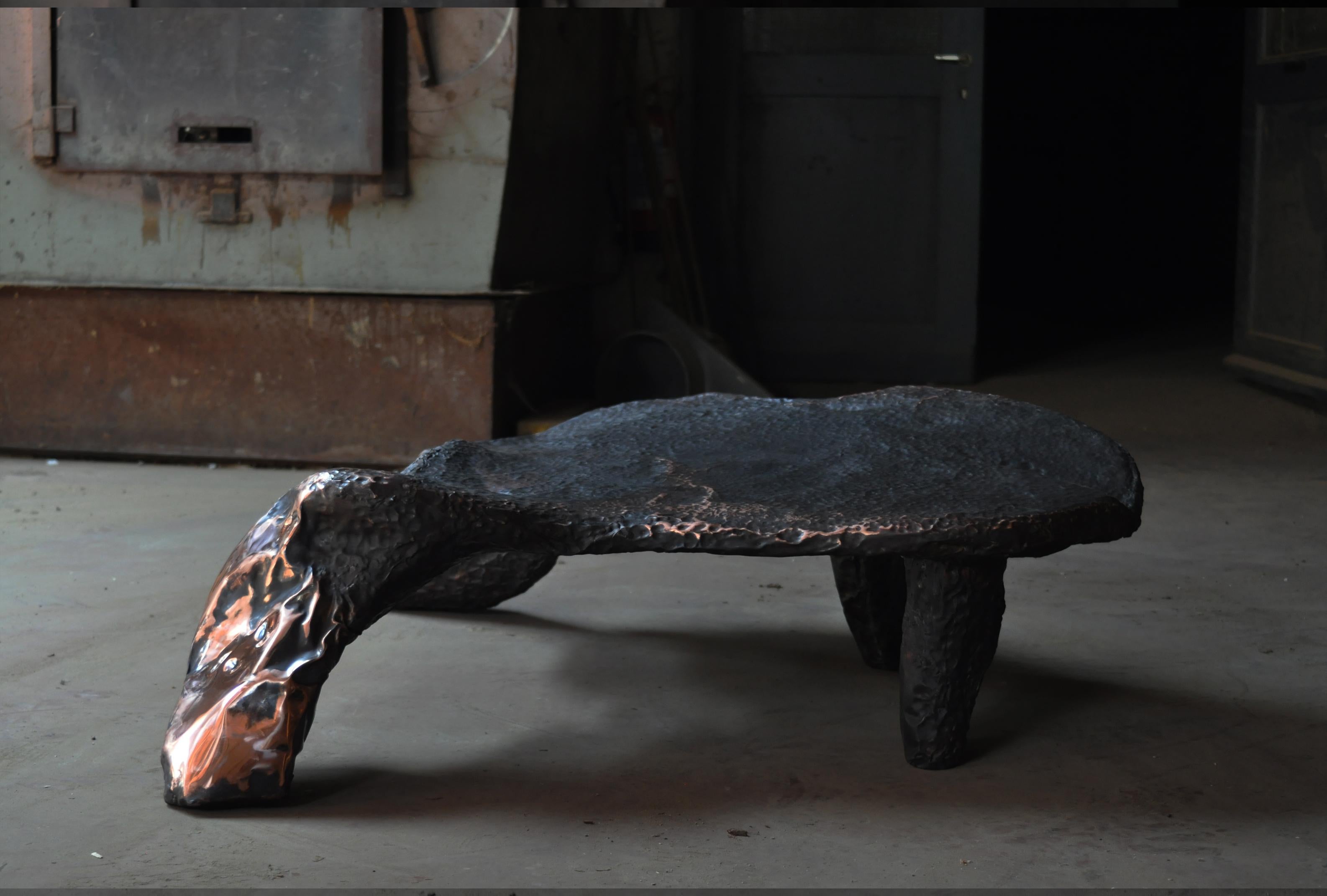 Contemporary Hammered copper Platypus Bench  by Marius Ritiu In New Condition For Sale In 1204, CH