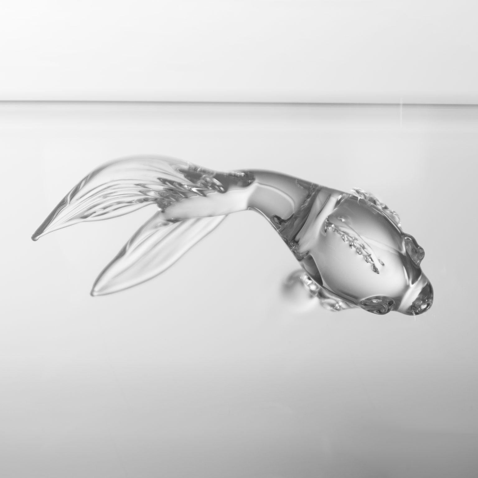 Contemporary Fish Bowl aus mundgeblasenem Glas von Simone Crestani (Moderne)