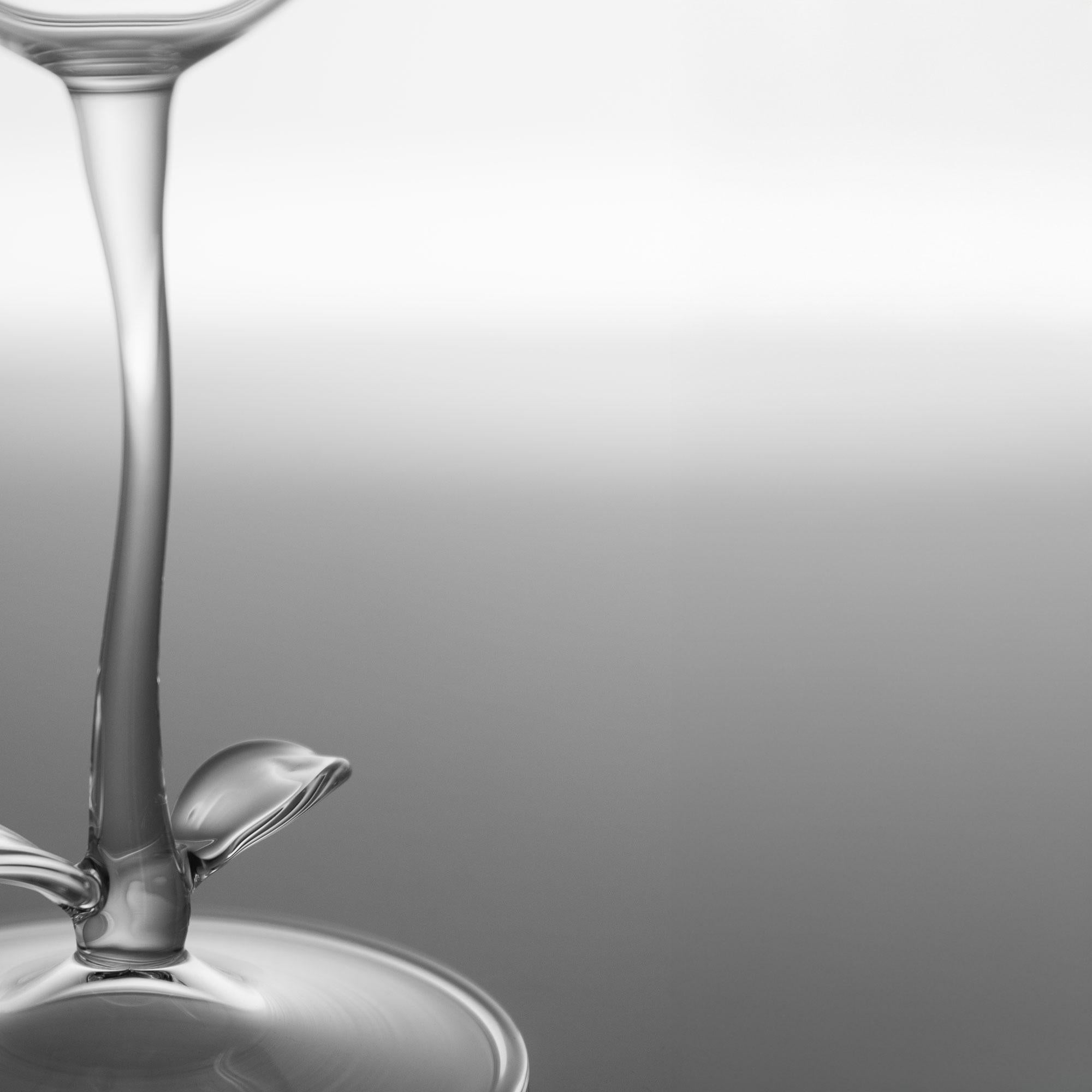 Autre Set de verres à cocktail contemporains soufflés à la main Vigne trompette Garden Leaf Nature en vente