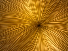 Contemporary Hand-carved porcelain with Brass details sconce by Vezzini & Chen