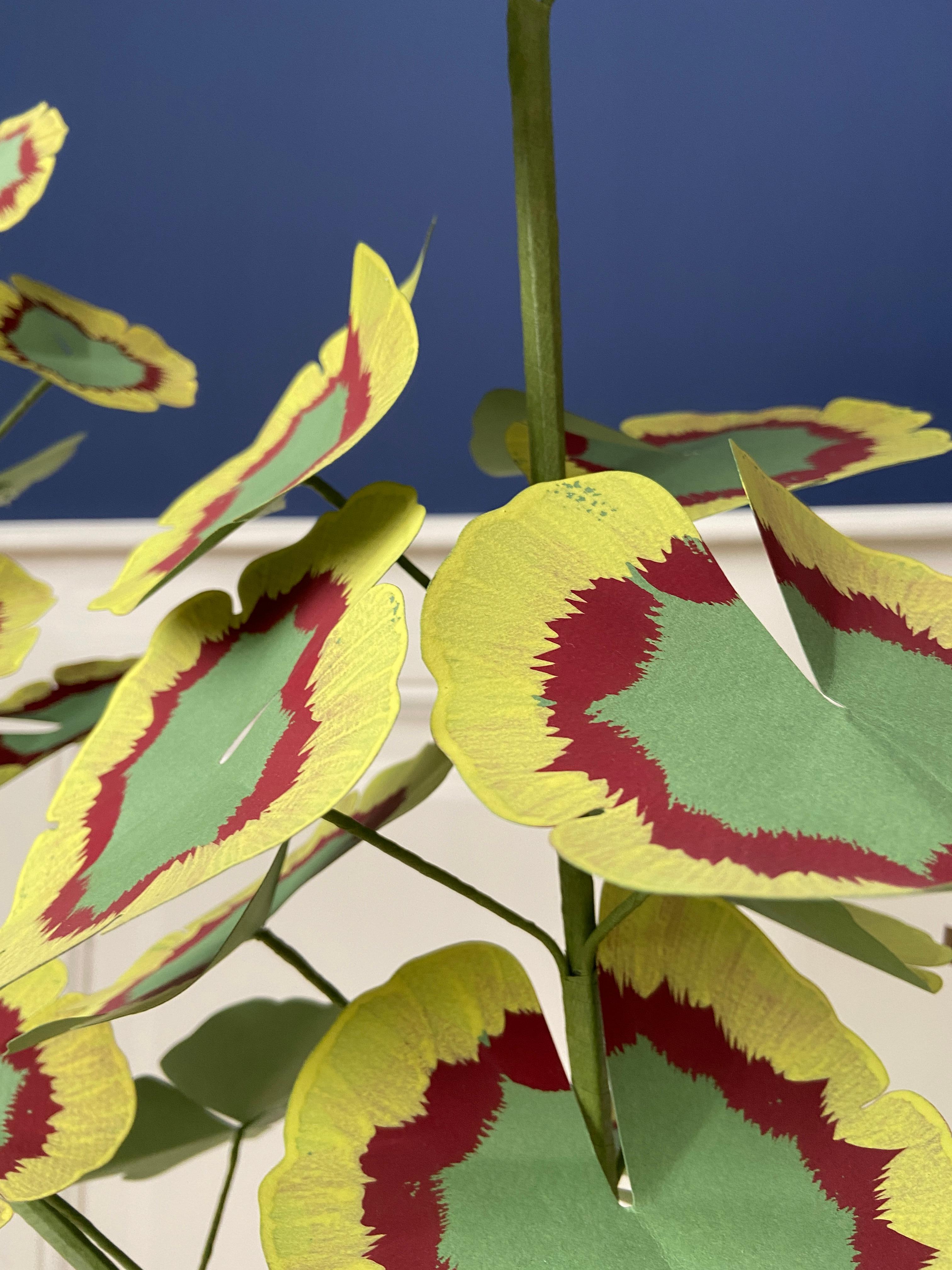 paper geraniums