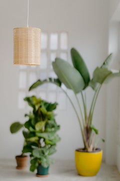 Contemporary, Handgefertigt, Pendelleuchte, Rattan-Zylinder, von Mediterranean Objects