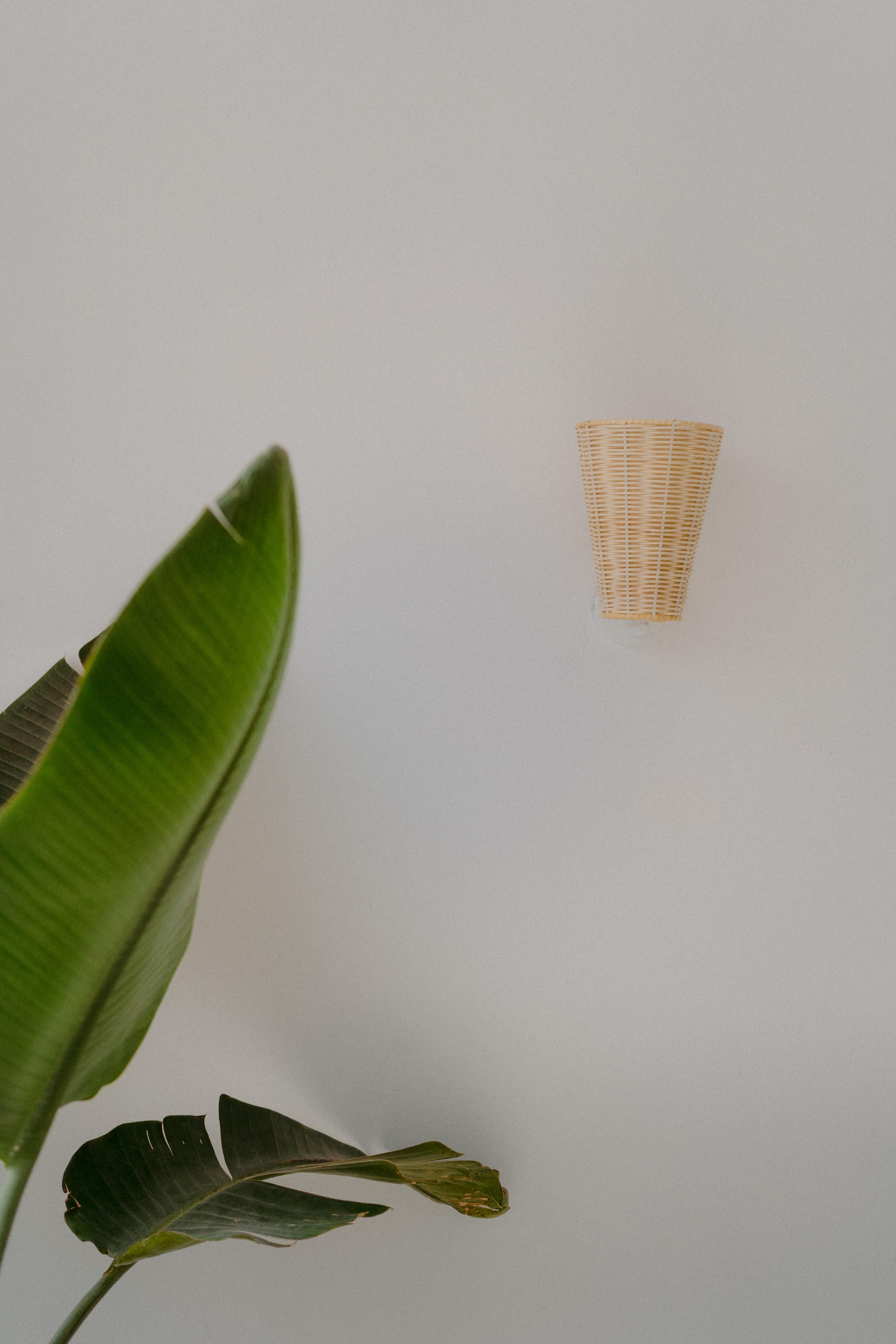 Spanish Contemporary, Handmade, Wall Lamp Sconce, Rattan Cone, by Mediterranean Objects For Sale