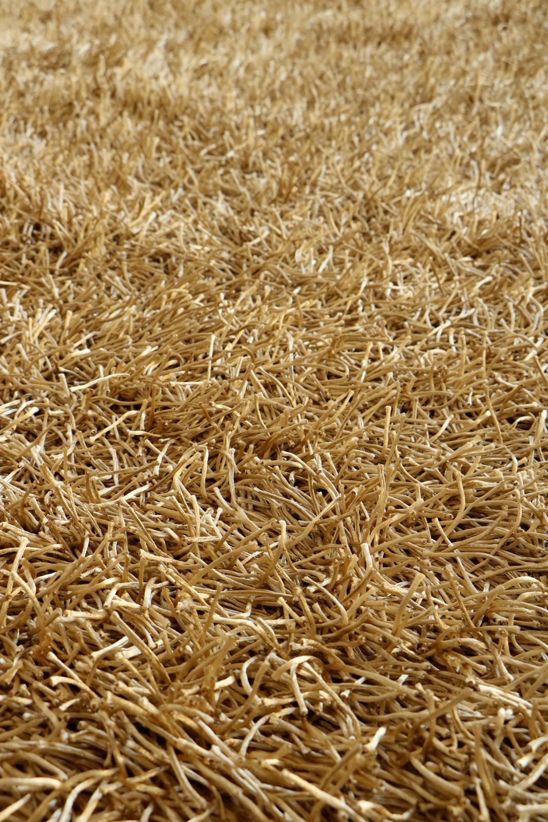 Strapazierfähiger goldener Teppich von Deanna Comellini Inspiriert von der Nature Auf Lager 200x300 cm (Indisch) im Angebot
