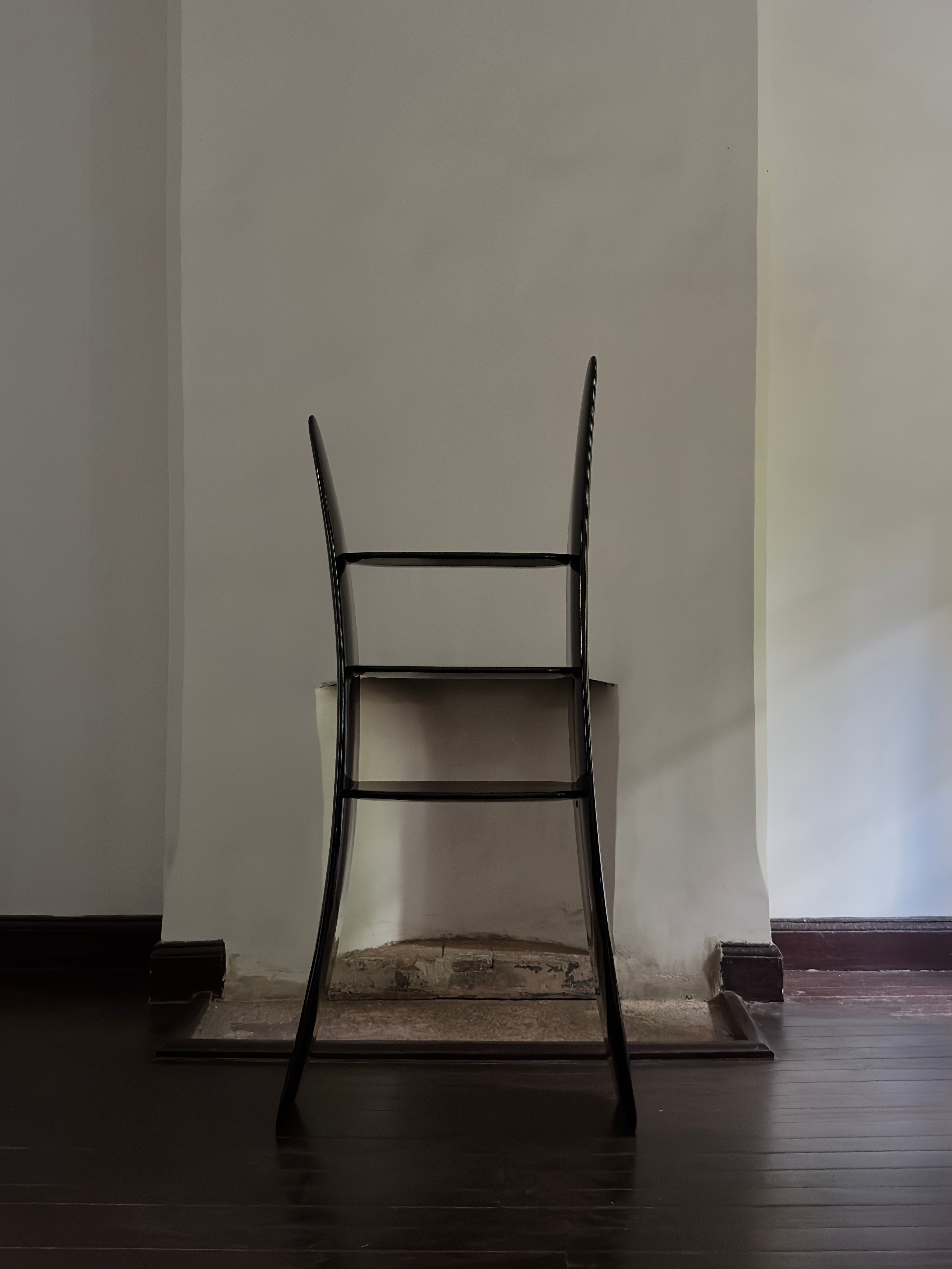 Scaffale contemporaneo in legno di frassino organico laccato nero alto di kar