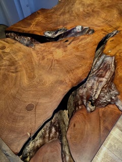 Tree trunk Rustic Console by Jerome Abel Seguin, Contemporary