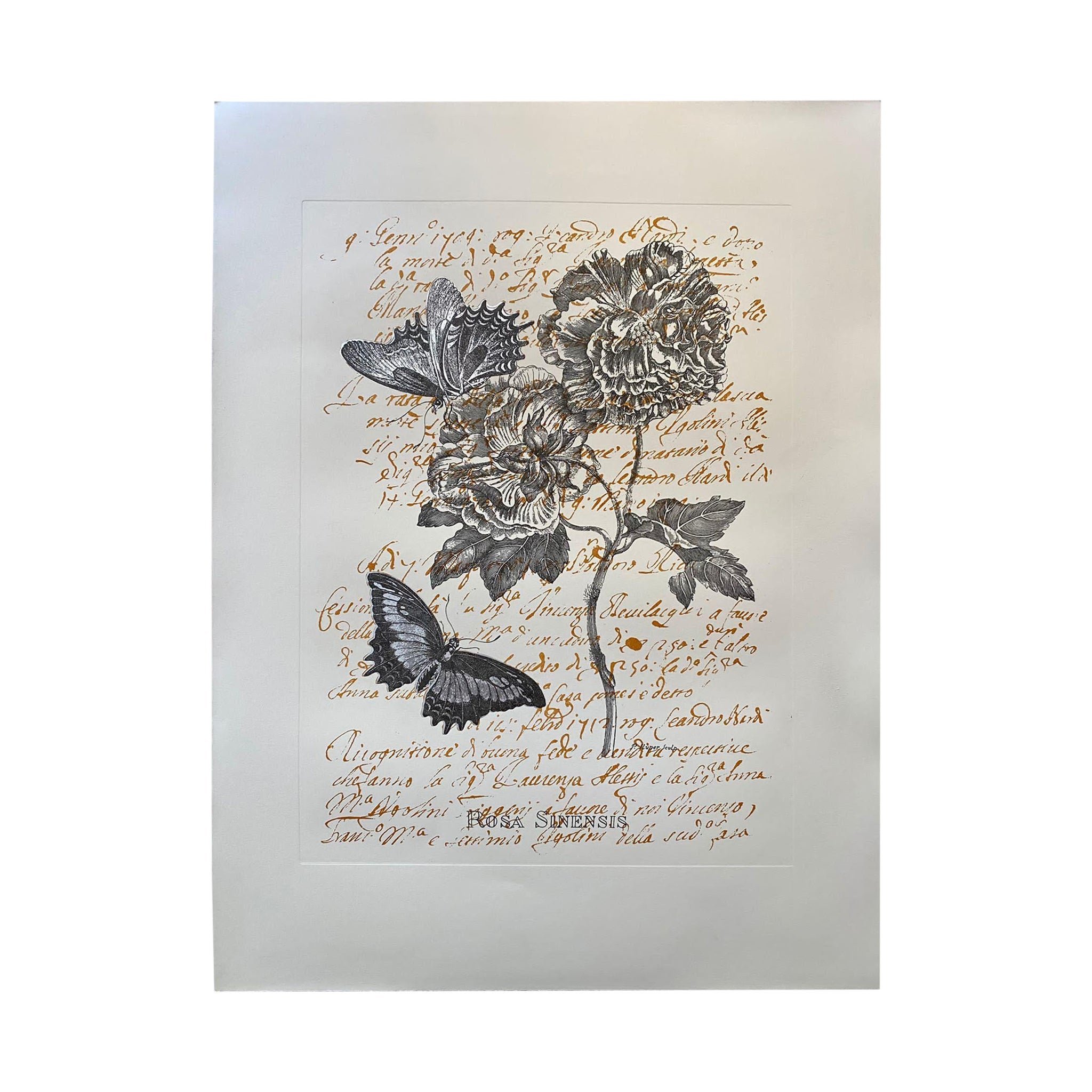 Contemporary Italian "Butterfly" Print Press Engraving Pure Silver Leaf, 2 of 2