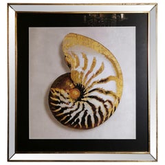 Contemporary Italian Golden Shell Print, Gilded Wood Frame with Mirror '2 of 4'