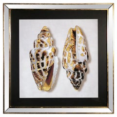 Contemporary Italian Golden Shells Print, Gilded Wood Frame with Mirror '4 of 4'